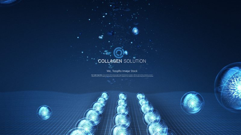PCR引物合成：上海厂家的技术实力与行业格局