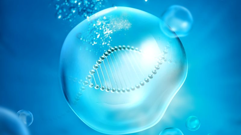 成都生物试剂标准品：精准科研的基石**