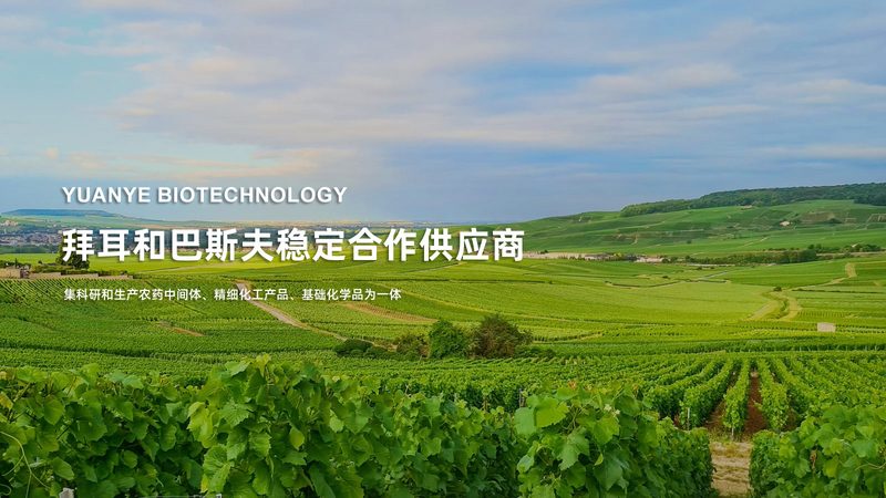 核酸上门采样多少钱