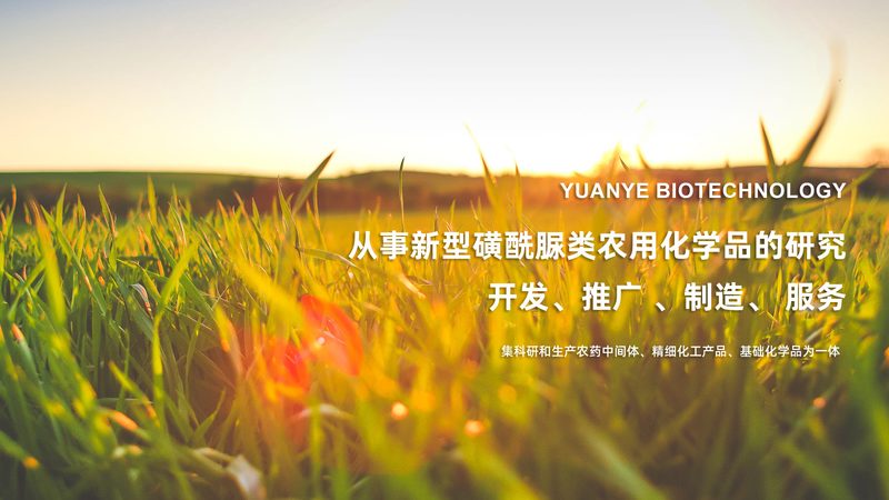 肿瘤细胞培养基的选择：关键因素与误区解析**
