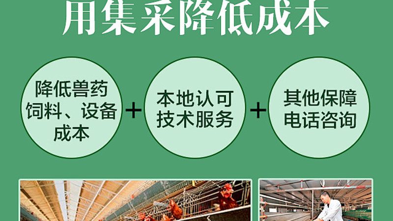 PCR试剂盒：揭秘其背后的技术奥秘与选购关键