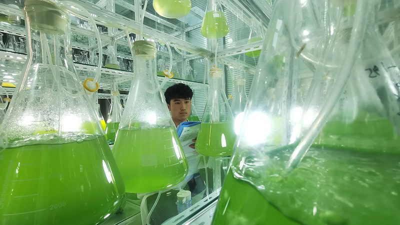 单道与多道移液器：精准操控背后的差异解析**